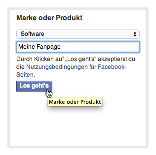 Facebook Fanpage erstellen: Produkt auswählen