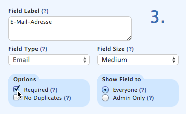 Wufoo: E-Mail-Feld erforderlich machen