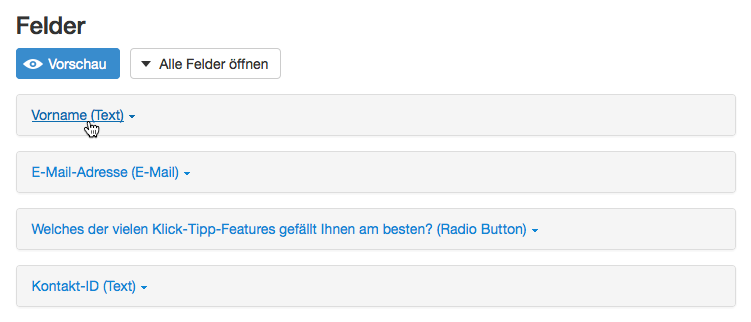 Wufoo: Vorname Fieldset aufklappen